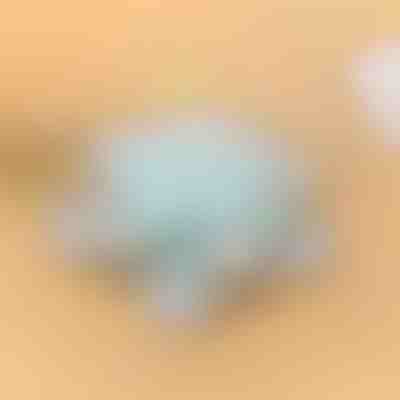 Contenitore rotante | SNACKARO